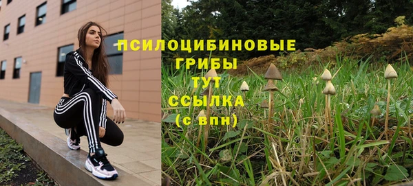 ПСИЛОЦИБИНОВЫЕ ГРИБЫ Бронницы