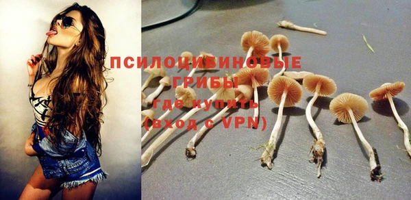 ПСИЛОЦИБИНОВЫЕ ГРИБЫ Бронницы