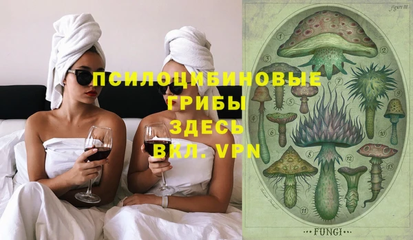 ПСИЛОЦИБИНОВЫЕ ГРИБЫ Бронницы