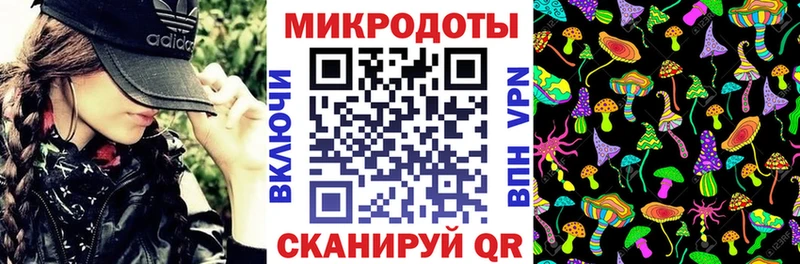 darknet как зайти  Курск  Галлюциногенные грибы Psilocybine cubensis  магазин  наркотиков 
